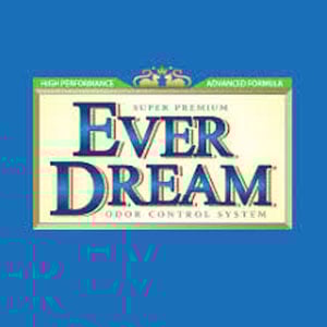 EVER DREAM