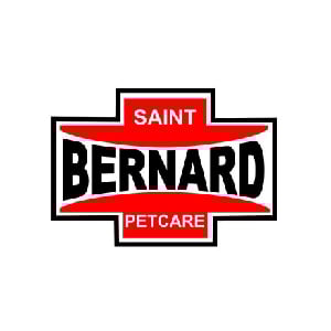 Saint Bernard