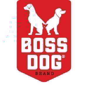 Boss Dog